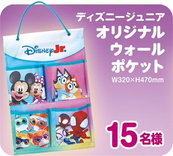  【２】15名様
テイズニージュニア
オリジナルウォールポケット
W320xH470mm