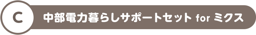 C 中部電力暮らしサポートセット for ミクス