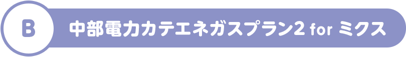 B 中部電力カテエネガスプラン2 for ミクス