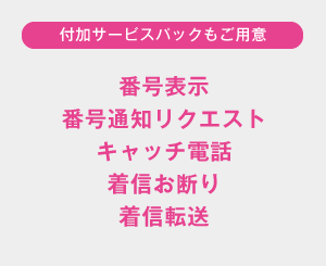 付加サービスも利用可能