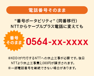 電話番号そのまま