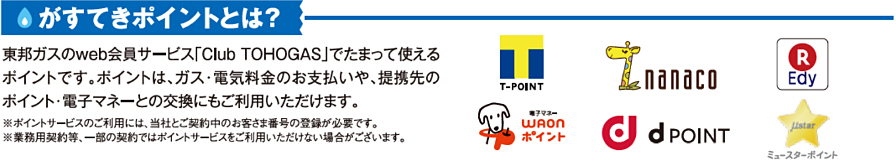がすてきポイントとは?