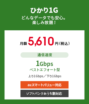 ひかり1G　どんなデータでも安心。楽しみ放題！