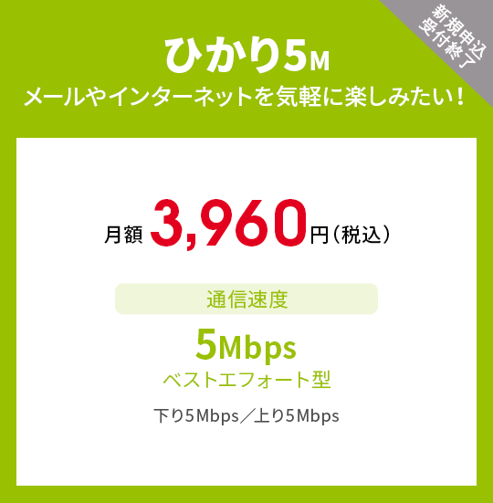 ひかり5M　メールやインターネットを気軽に楽しみたい！