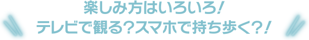 楽しみ方はいろいろ！テレビで観る？スマホで持ち歩く？！